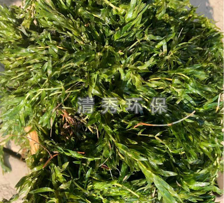 徐州清秀環(huán)保科技有限有限